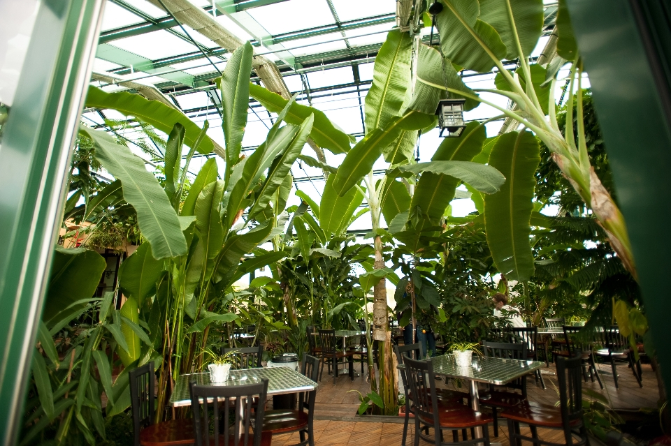 Why I Like the Glass House Winery Wedding Preacher for Hire